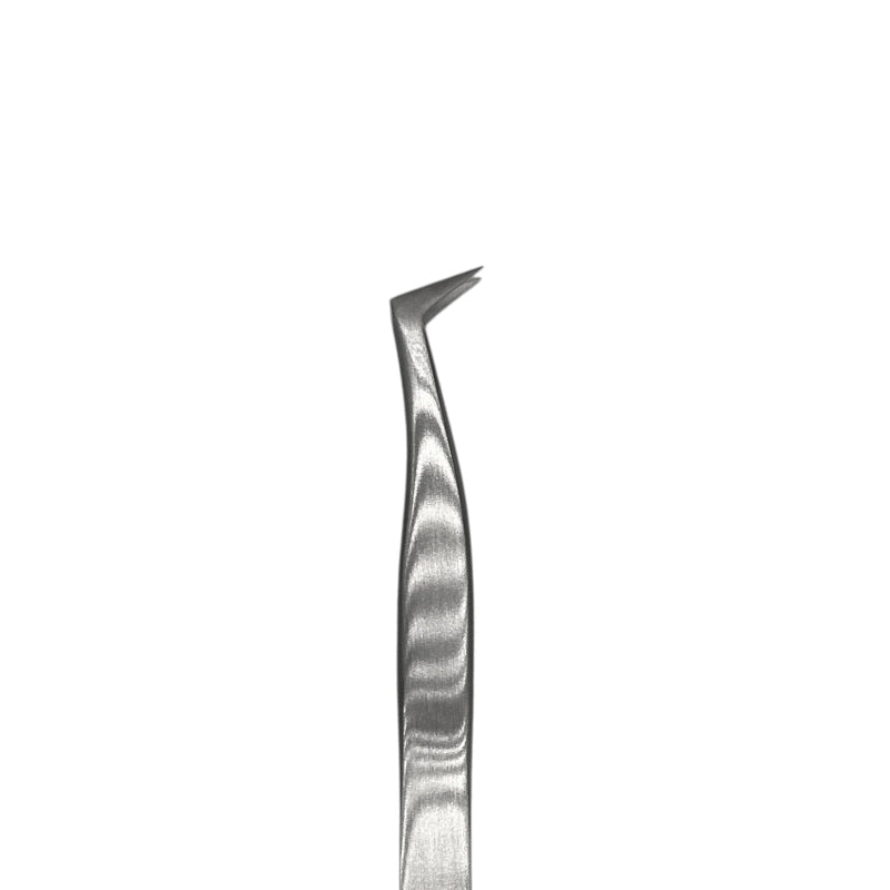 Tip of Stainless Steel Lash Tweezers ST-02 by Lash Better