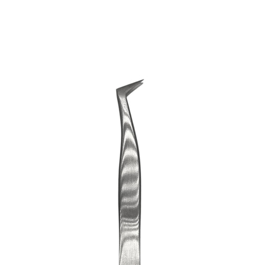 Tip of Stainless Steel Lash Tweezers ST-02 by Lash Better