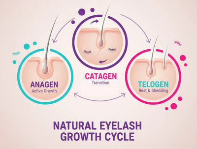 The Science of Lash Retention: How to Make Extensions Last Longer