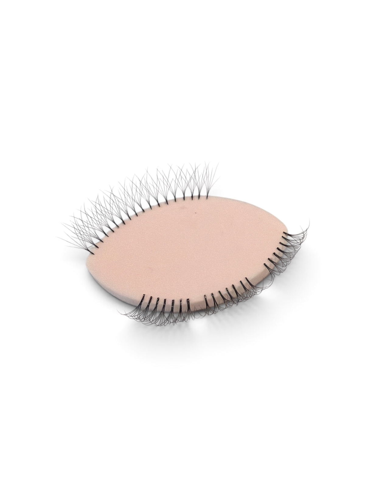 Camellia .05 6D C Curl Lash Extensions